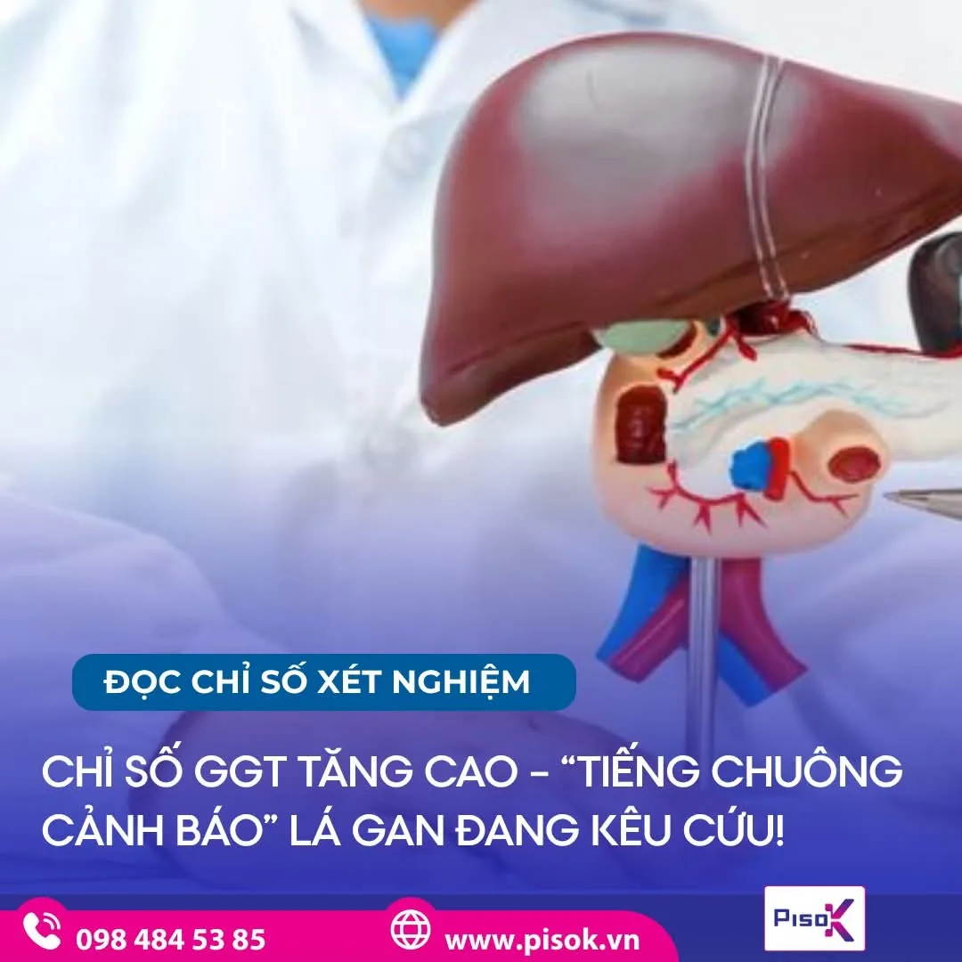 Chỉ số GGT và sức khỏe lá gan