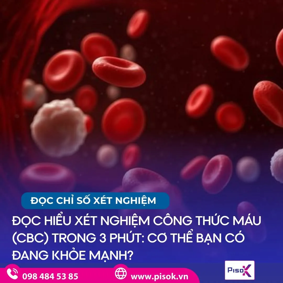 Đọc hiểu xét nghiệm công thức máu CBC